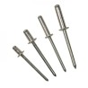 50 Rivets 4,8mm x 12mm